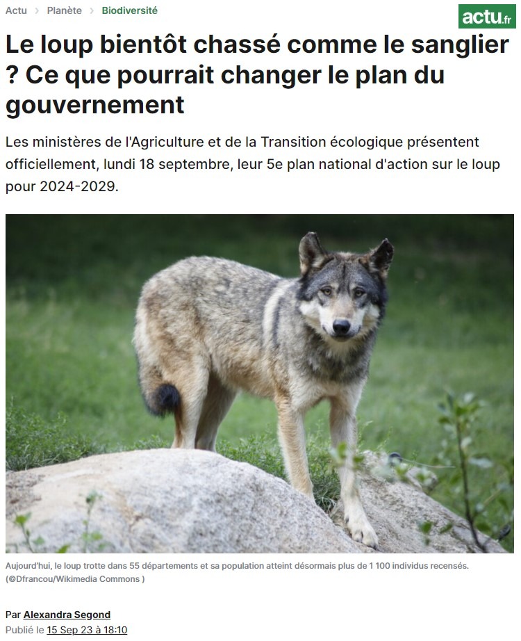 5e plan national d'action sur le loup pour 2024-2029