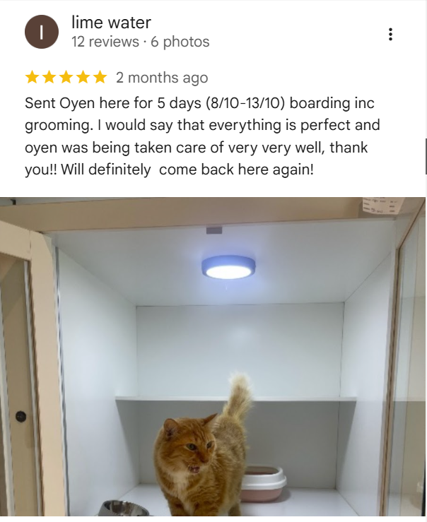 5-star Google Reviews for Moly Cat Hotel and Grooming in Kuala Lumpur.
