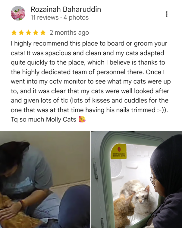 Customer feedback praising the clean boarding space and CCTV at Moly Cat Hotel OUG.