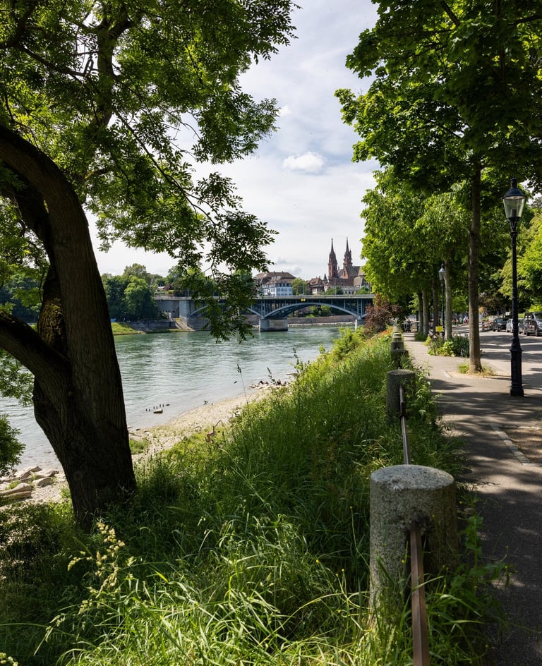 Blick über den Rhein zum Basler Münster – Beispielbild aus dem Allrounder Fotokurs Basel.