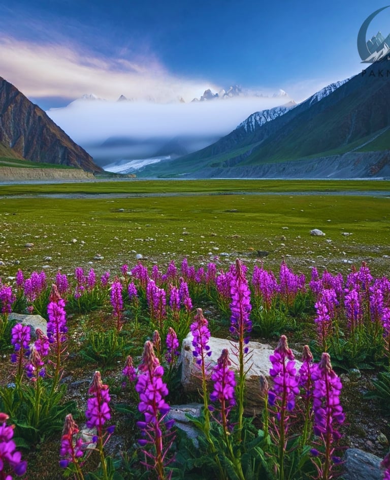 Beautiful landscape of deosai plains Pakistan 