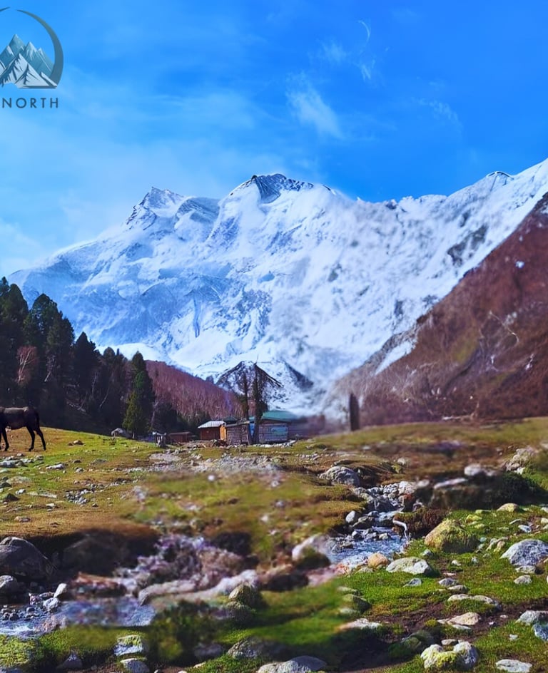 Close up picture of nanga parbat from base camp