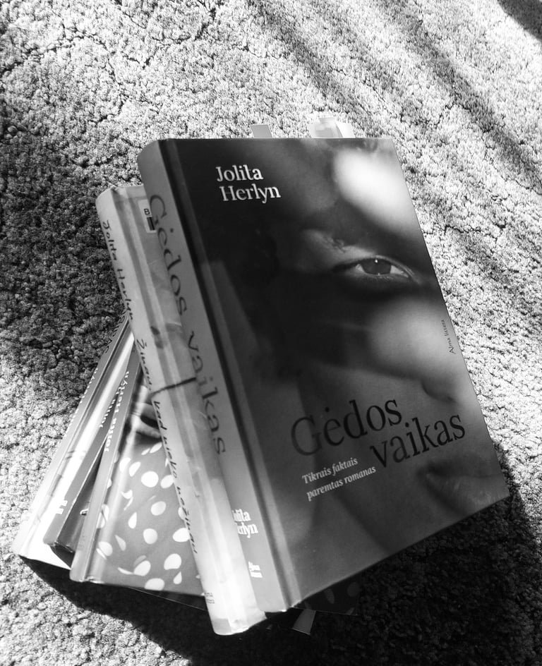 Jolita Herlyn Gėdos vaikas recenzija Gabija Barišauskaitė