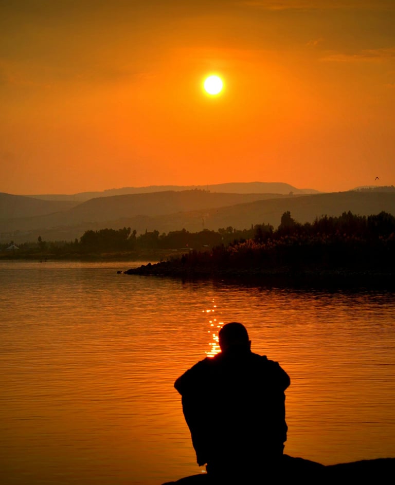 Online Depression Therapy - clinicaldepression.online