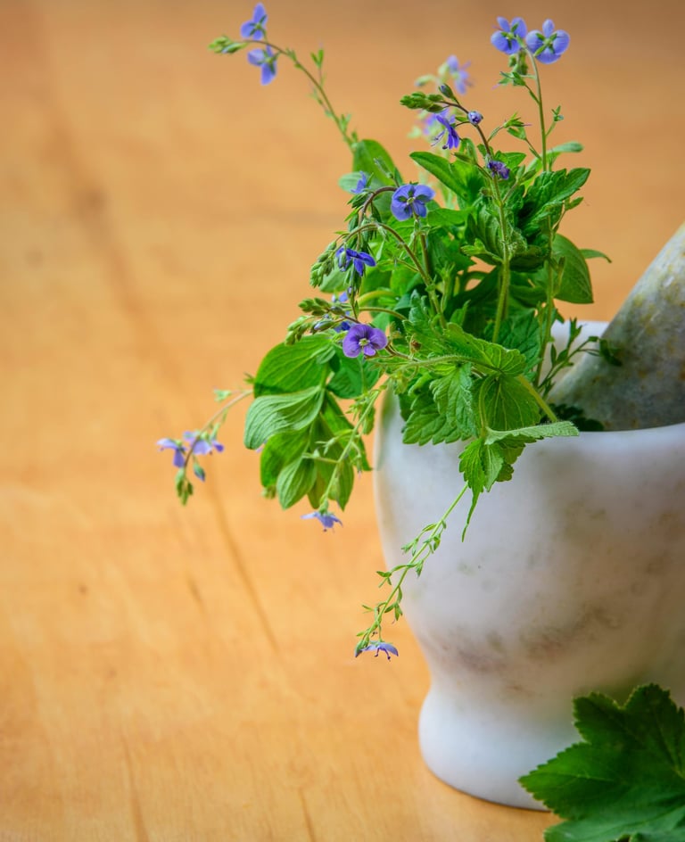 Holistic Approaches to Anxiety Healing