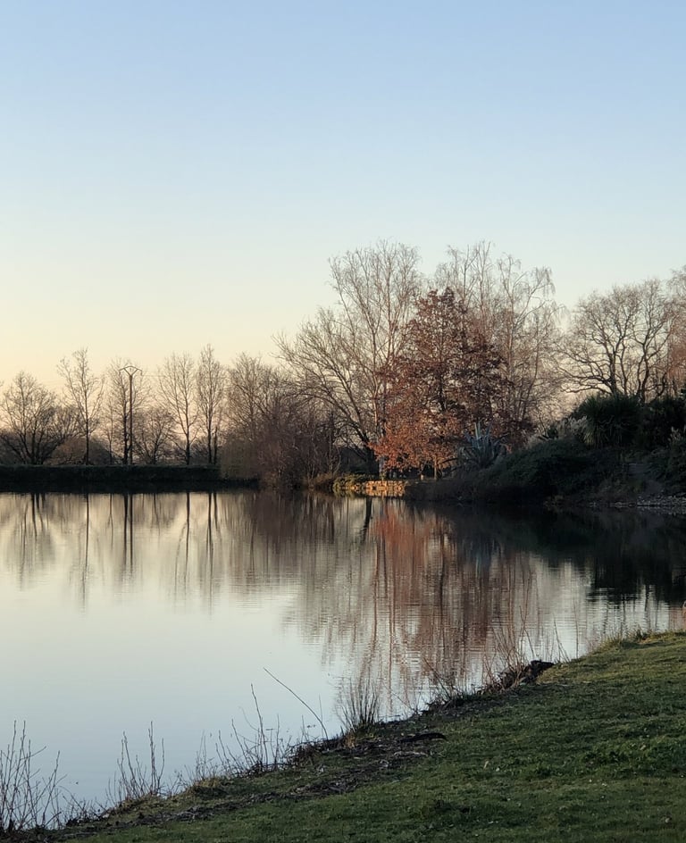 Domaine de Beaucé, Ligné, proche Saint Mars du Désert, Ancenis, Carquefou, psy, thérapeute, thérapie