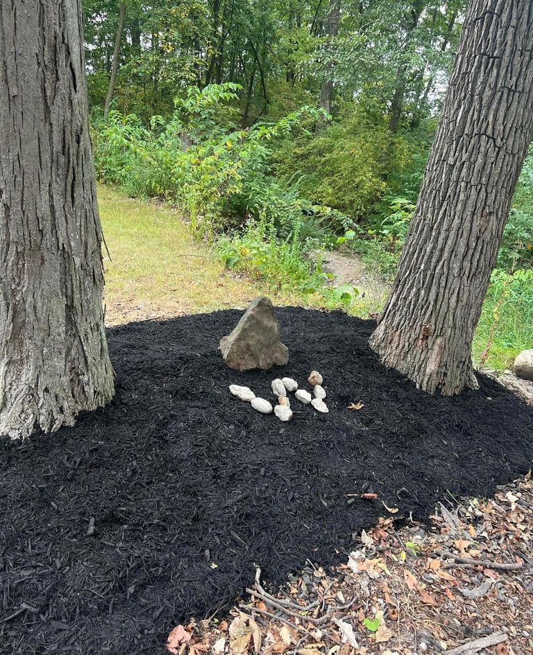 mulch-landscaping-around-trees-on-hannibal-mo-property.jpg