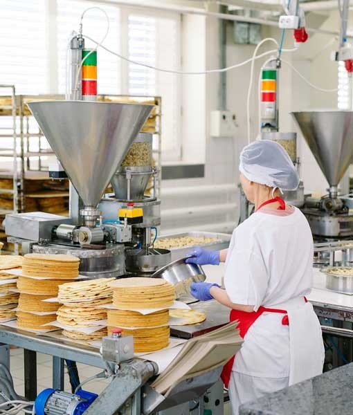 Food processing plant