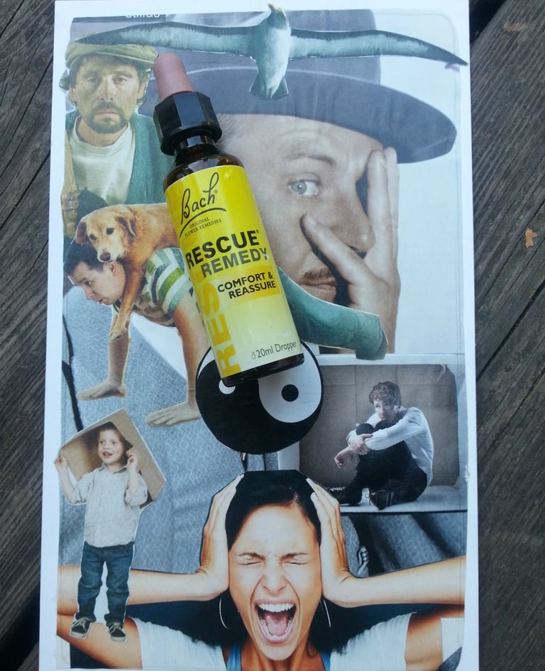 rescue remedy bach flower therapy