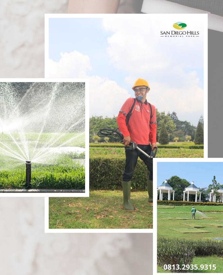 San Diego Hills Memorial park karawang dengan jadwal rutin pemeliharaan rumput dan penyiraman taman