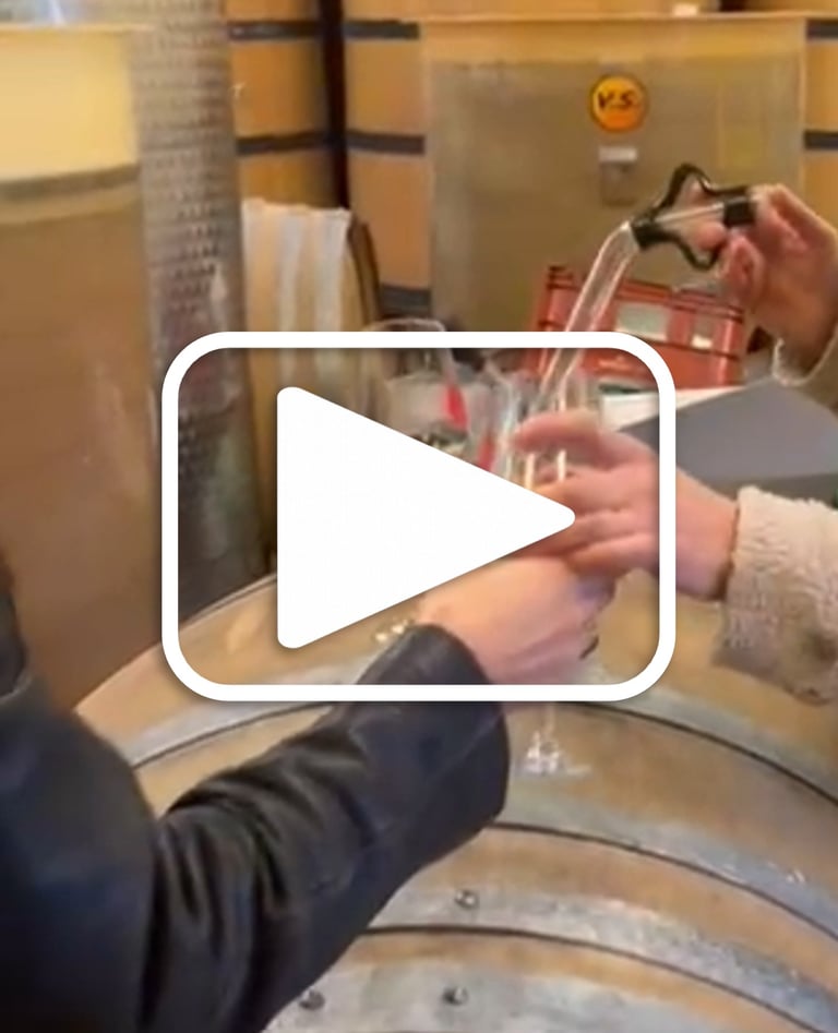Wine tasting from the barrel