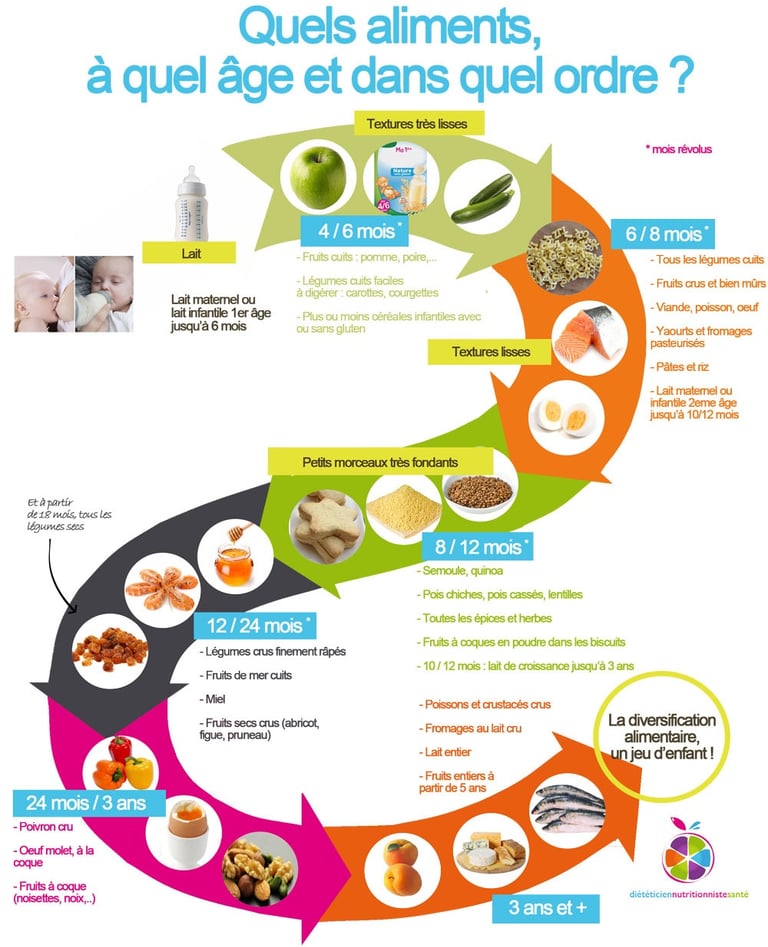 a poster with a circular diagram of a food cycle