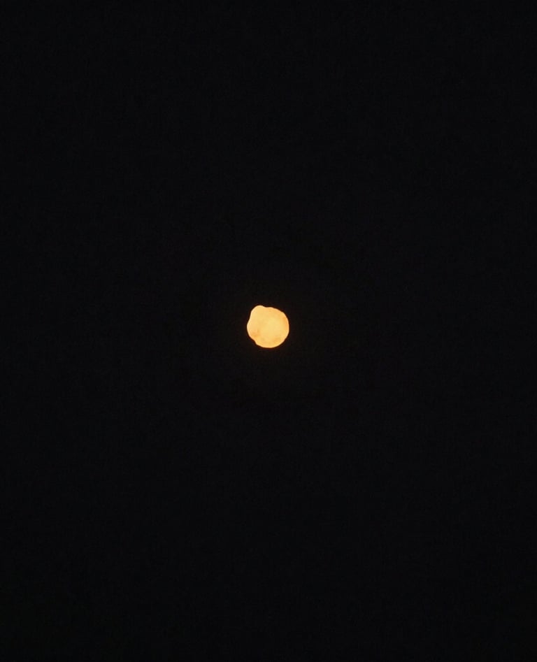 A candid, cinematic wide-angle shot of a couple laughing together in a sun-drenched North American / US backyard garden. The light is a warm terracotta glow. Colors: off-white clothing, charcoal shadows, sky blue accents.