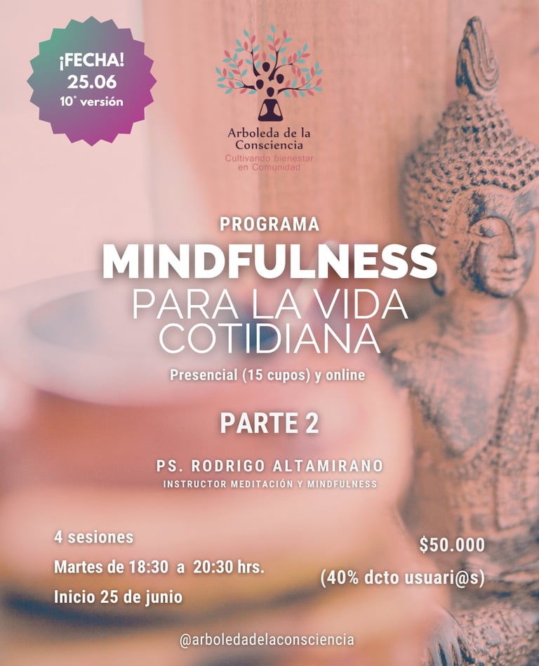 afiche del programa de mindfulness que incluye la imagen de un budda