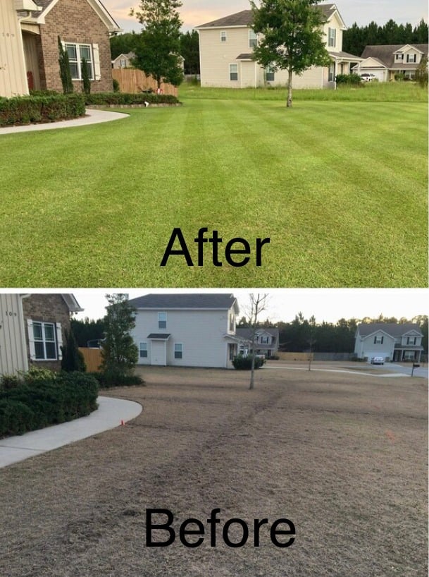 actual customer lawn before after