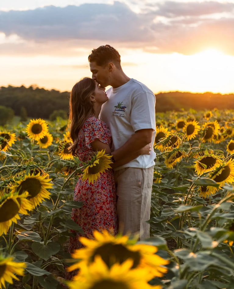 séance photo couple dans champs de tournesols au coucher du soleil près de toulouse
