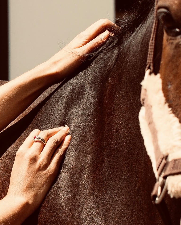 Psychosomatik für Tiere