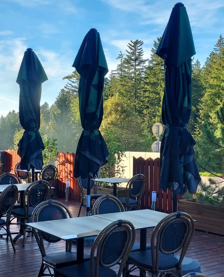 restaurant terrasse aux 2 sapins