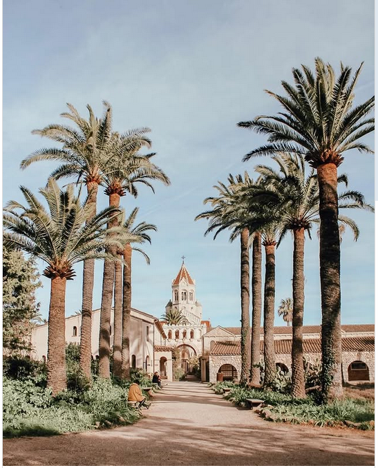 Monastery and church with palm trees Lerins Islands Cannes