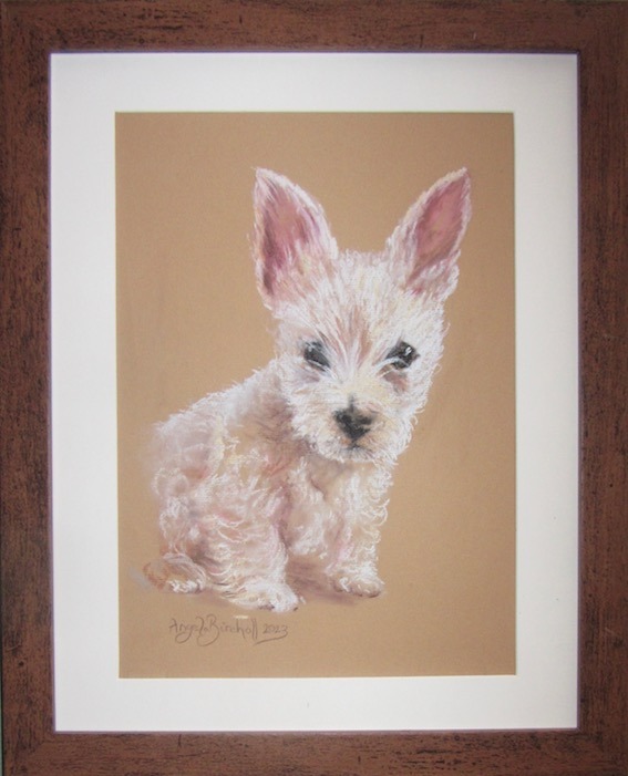 Soft pastel portrait of Ezra, an adorable three-month-old Westie puppy