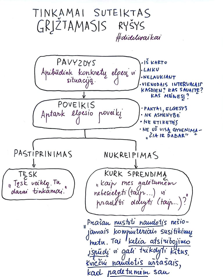 schema kaip teikti grįžtamąjį ryšį 
