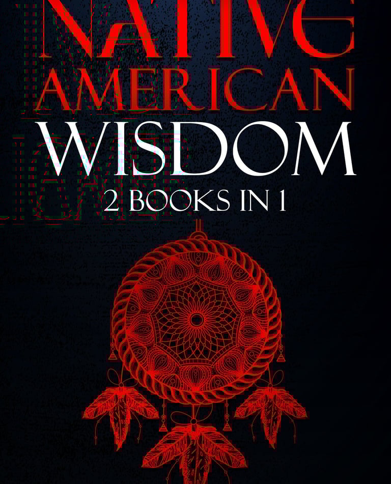a native american dream catcher's book cover