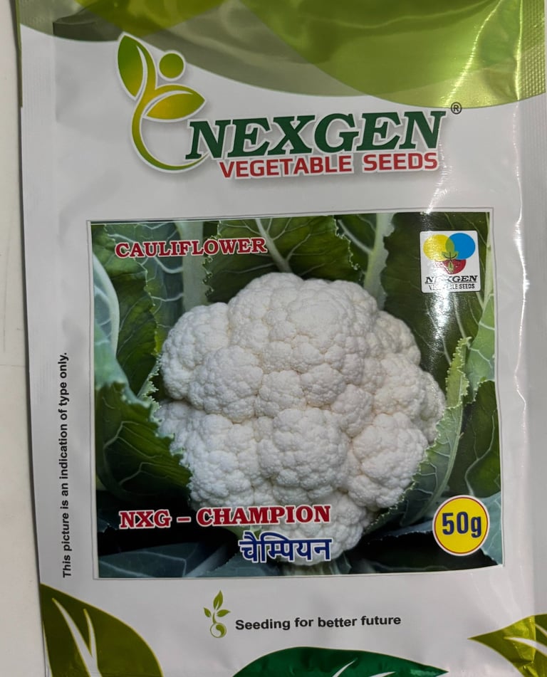 Nexgen NXG Champion hybrid cauliflower seeds packet for home gardening and farming.