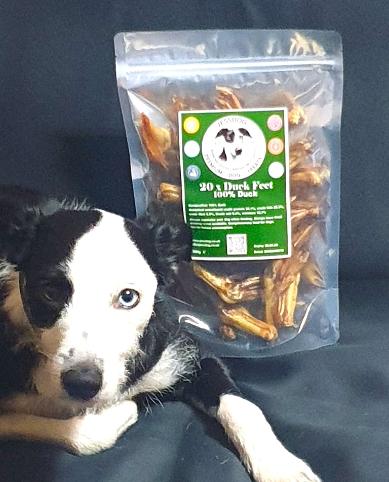 Jessdog laying on a couch with a bag of Jessdog Duck Feet Natural Dog Treats