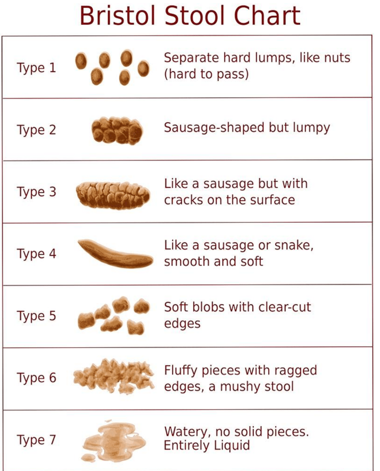Bristol stool Chart 