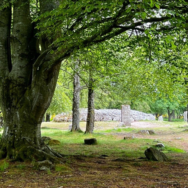 trees, standing stones and stone burial cairn