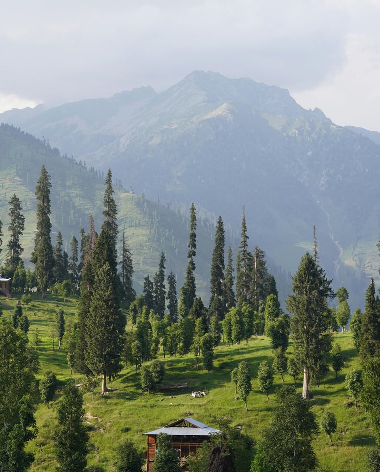 Arang kel neelum valley