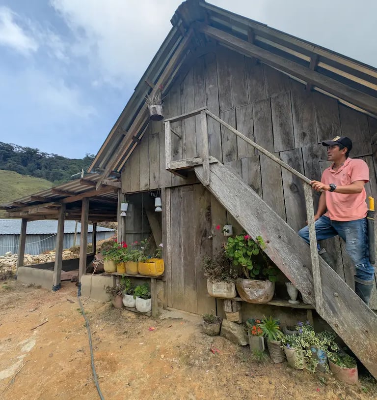 A man in a pink shirt stands on the wooden stairs of a rustic farm cabin with potted plants.