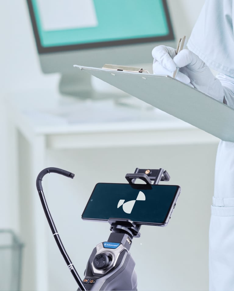 Application de l'identité visuelle sur support mobile