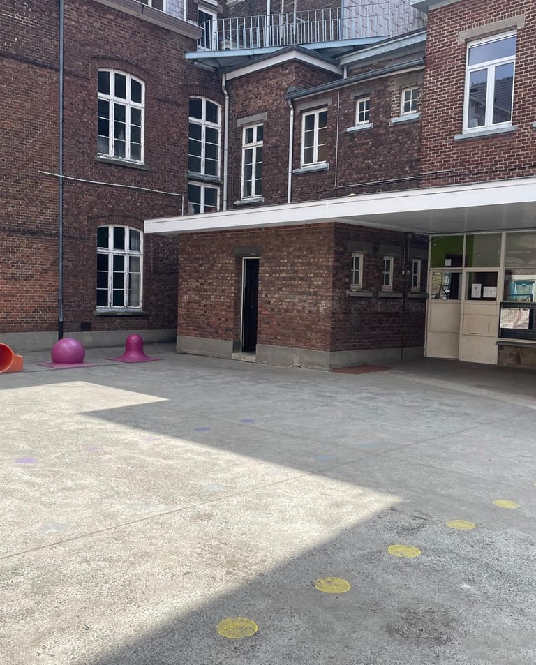 image représentant une partie de la cour de récréation, ses jeux et son préau