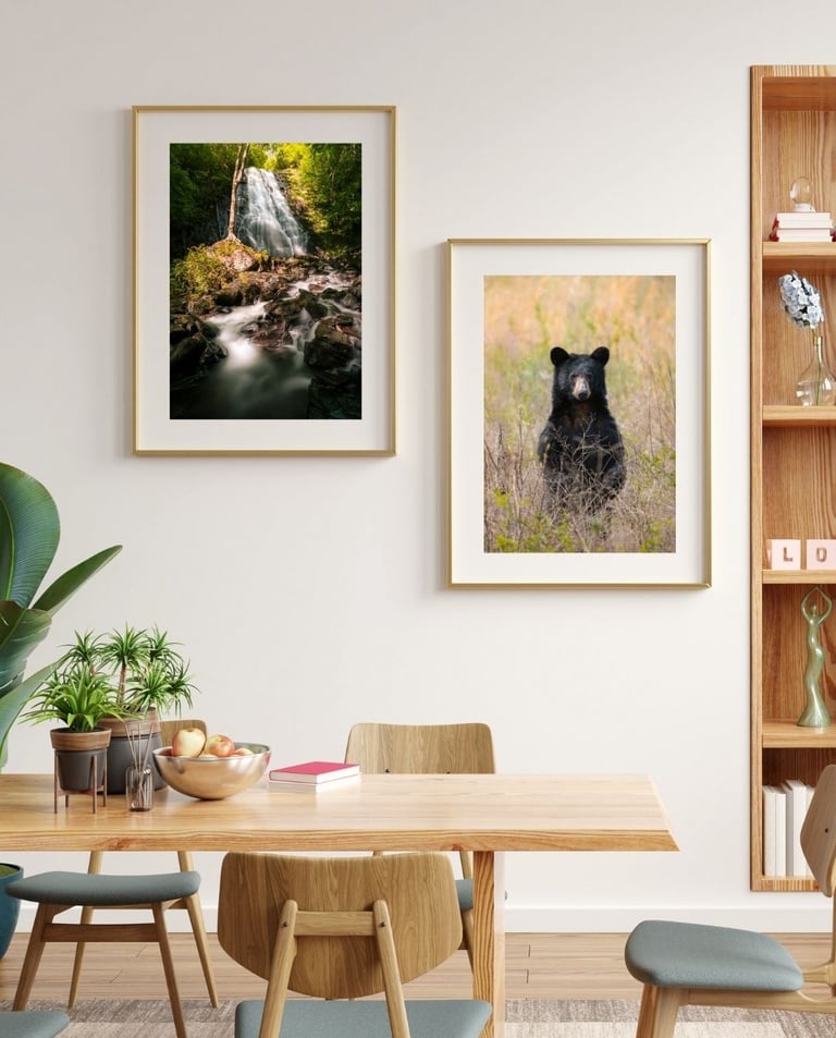 Nate Bowery Photography prints hanging on the wall. One shows a bear and the other is a waterfall