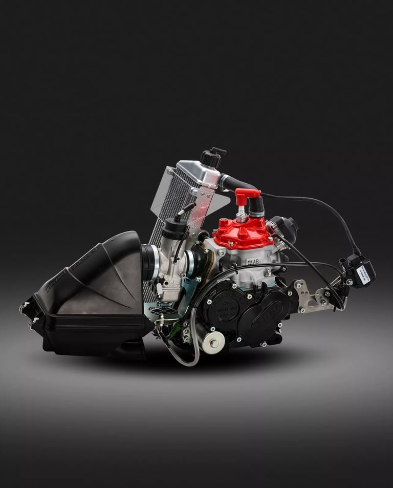 rotax 125 senior max evo