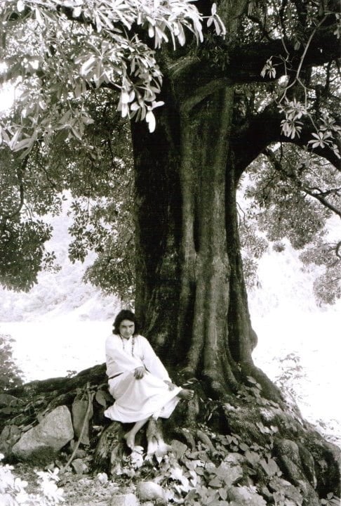Shri Babaji