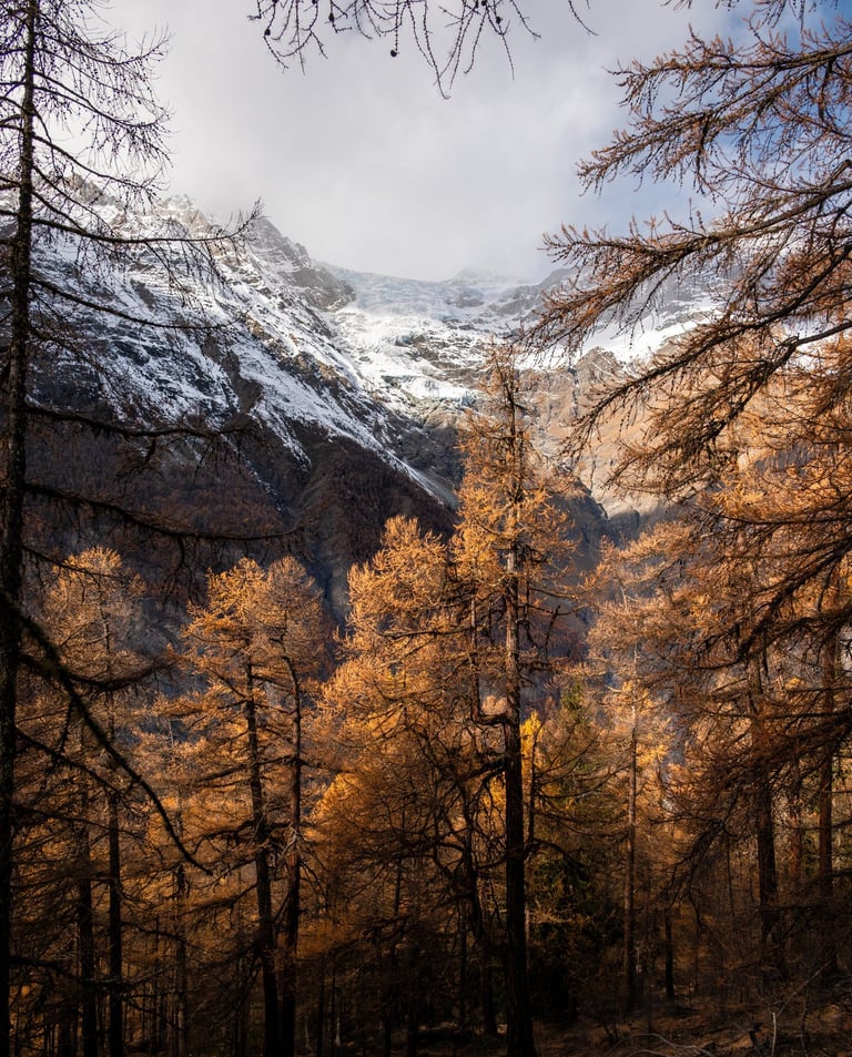 a mountain scene with a mountain in the background