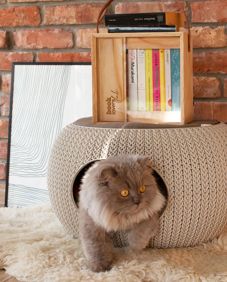 Portable designer wooden mini library with handle and sliding panels for easy access to books.