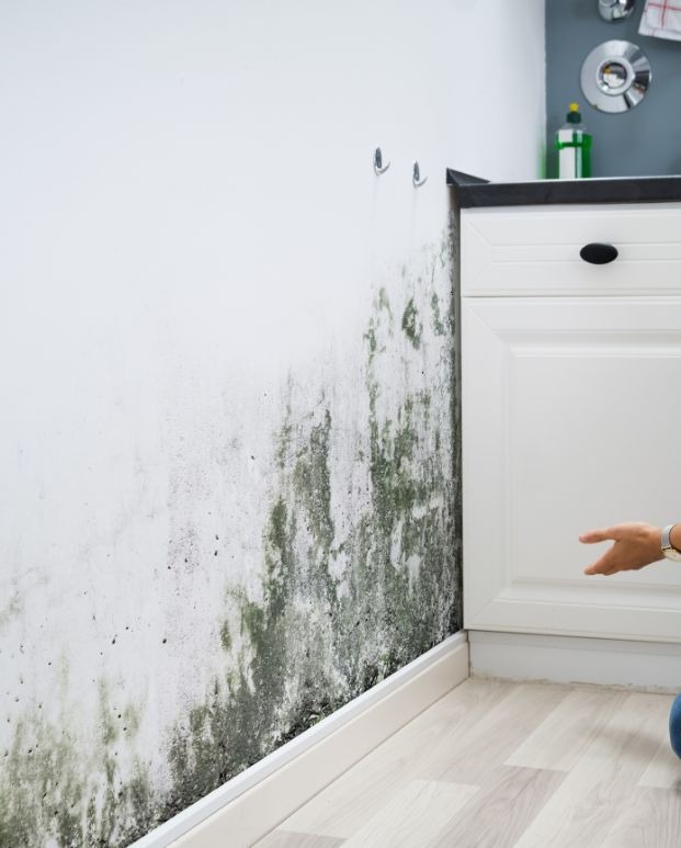 Protocollo Casa Sana e Salubrità Abitativa Edil leonardo