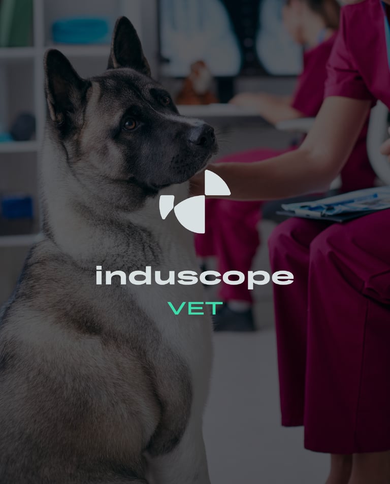 Logo secondaire Induscope VET, identité visuelle