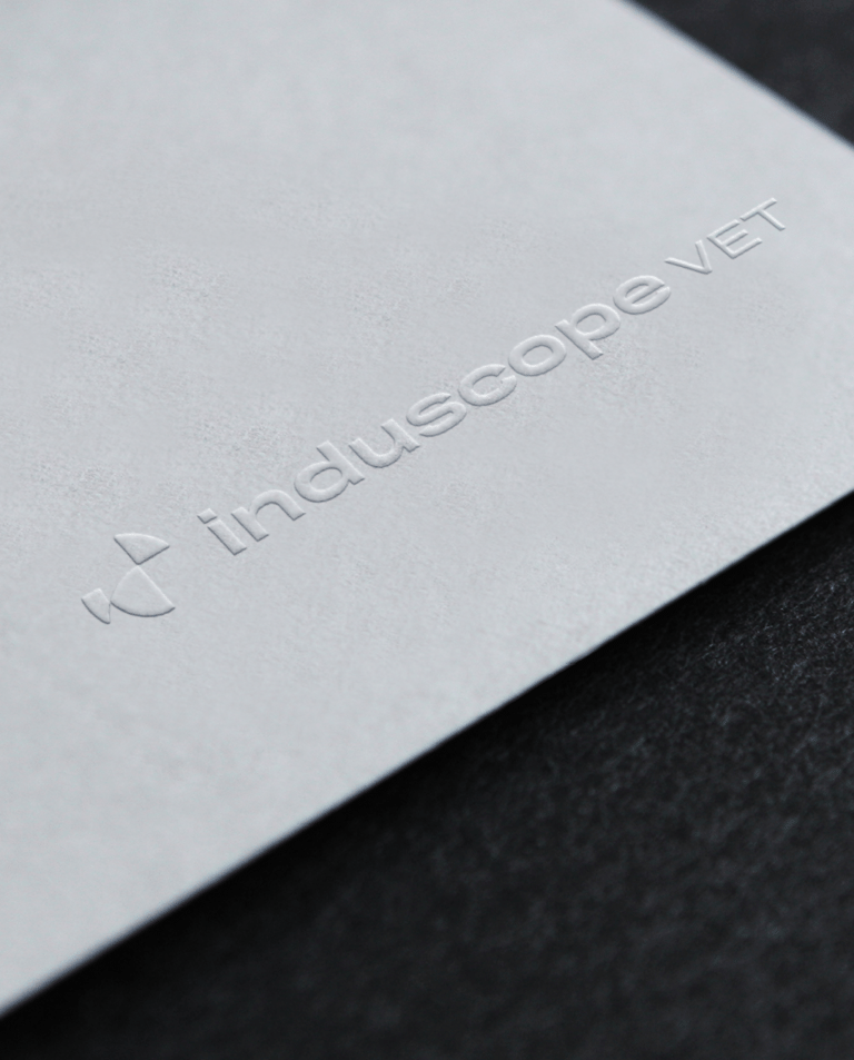 Application de l'identité visuelle sur support imprimé