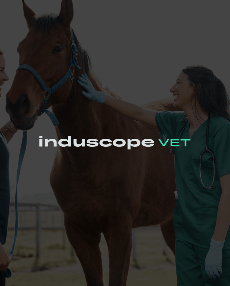 Logo typographique Induscope VET, identité visuelle