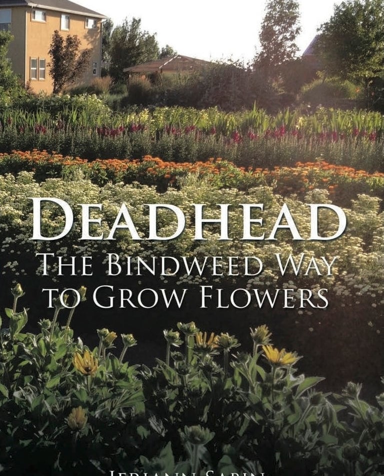 Growing Cut Flowers in the High Plain