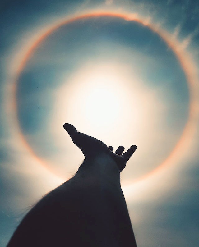 accurate psychic reading by top best expert psychic reader in toronto north york scarborough