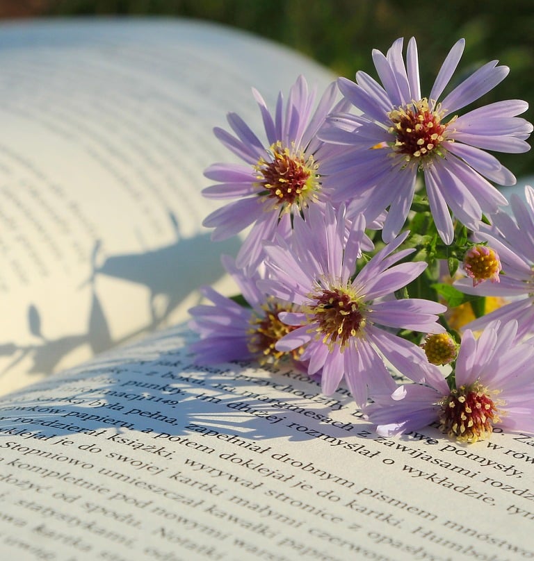marie Larmarange autrice de comédies romantiques et de nouvelles humoristiques