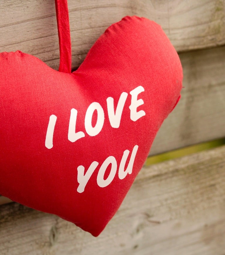 wikifaith-encyclopedia-wikipedia-wikileaks-sexuality