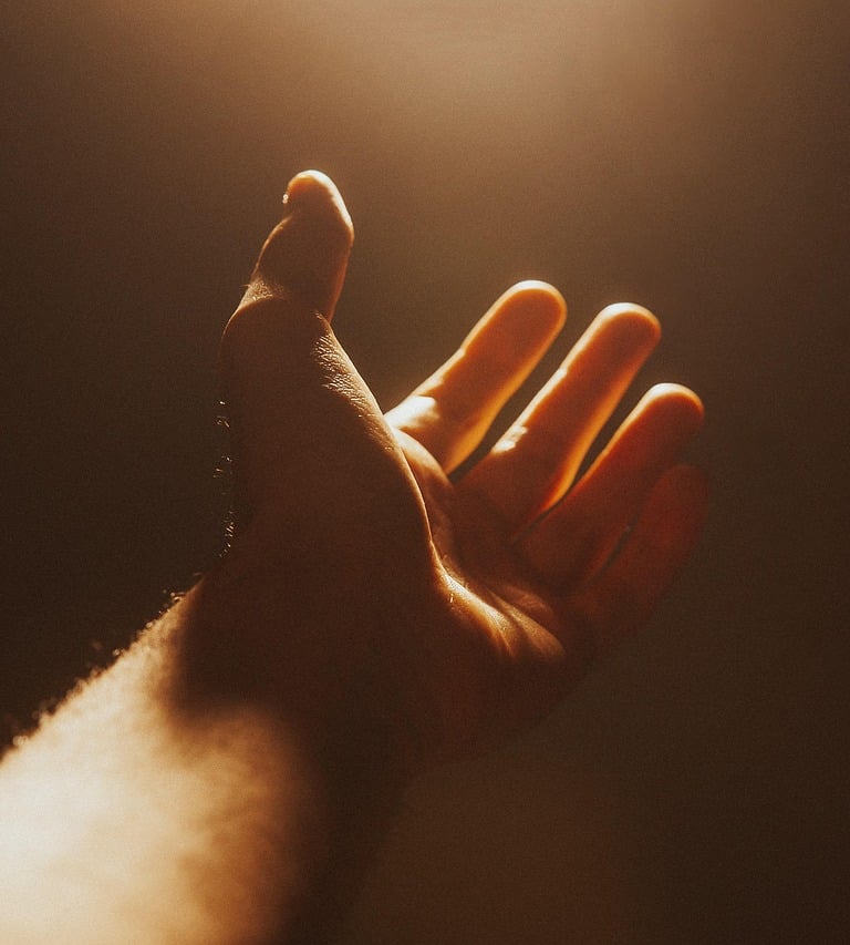 wikifaith-encyclopedia-wikipedia-wikileaks-worshiping-idols-and-paintings