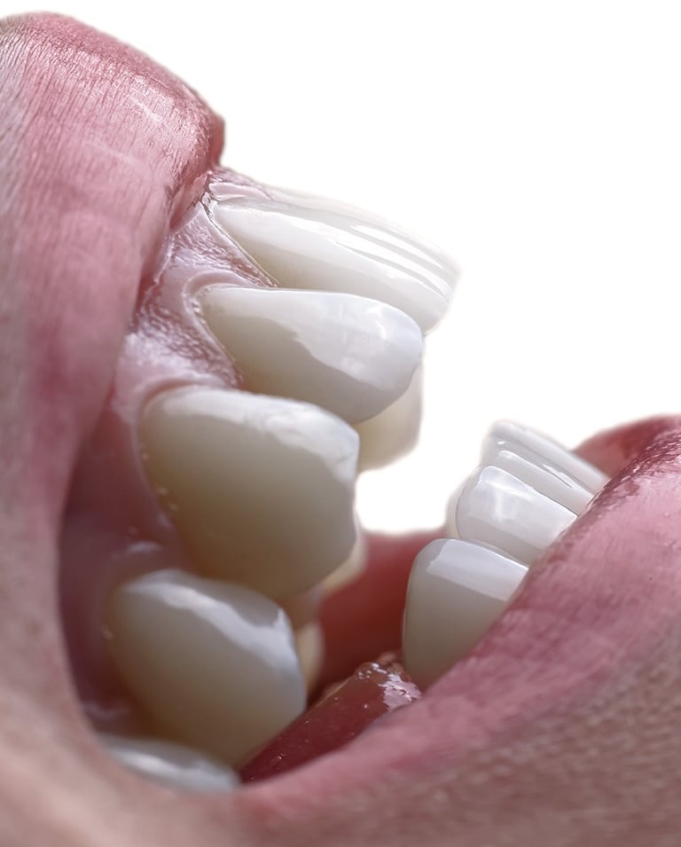 odontologinė fotografija