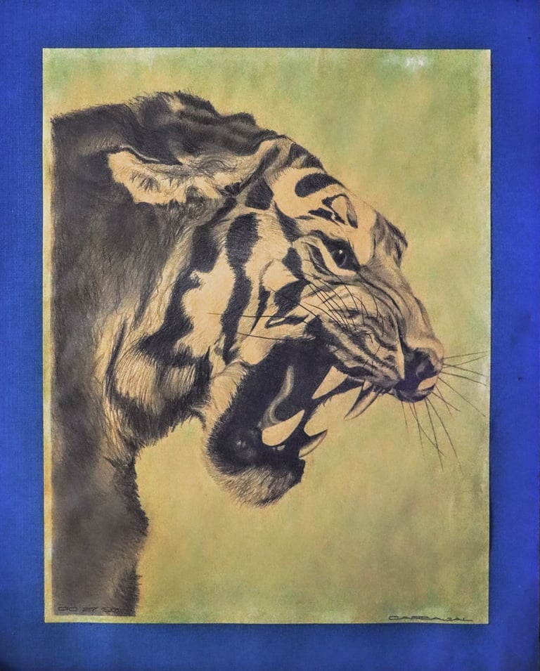 Dibujo realista a grafito de tigre rugiendo de perfil, detalle de rayas y colmillos sobre papel marquilla